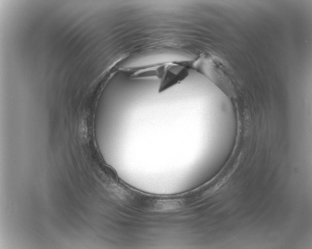 X0000053011305200508051150