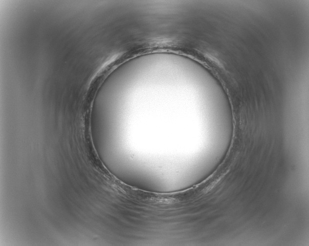 X0000053011309200508051150