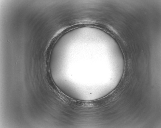 X0000053011315200508051150