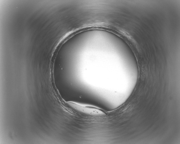 X0000053011316200508051150