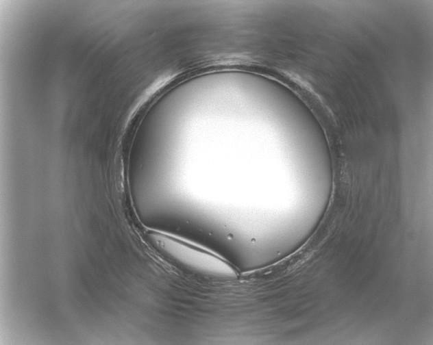 X0000053011317200508051150