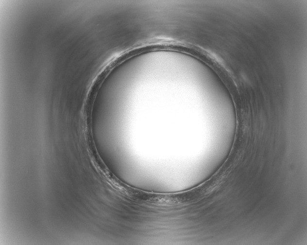 X0000053011318200508051150