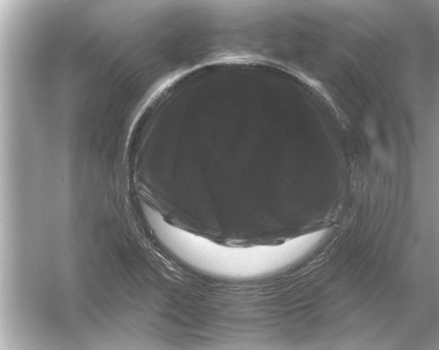 X0000053011319200508051150