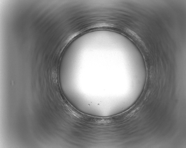 X0000053011321200508051150