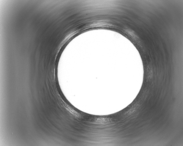 X0000053011322200508051150