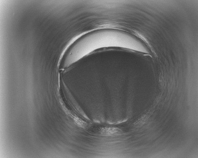 X0000053011323200508051150