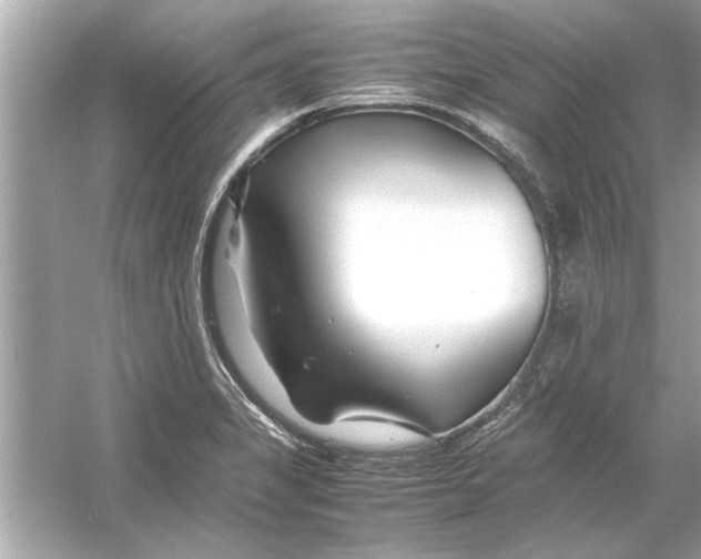 X0000053011325200508051150