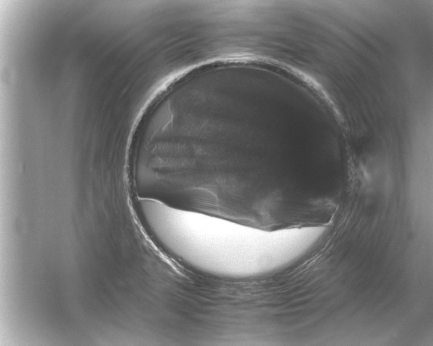 X0000053011327200508051150