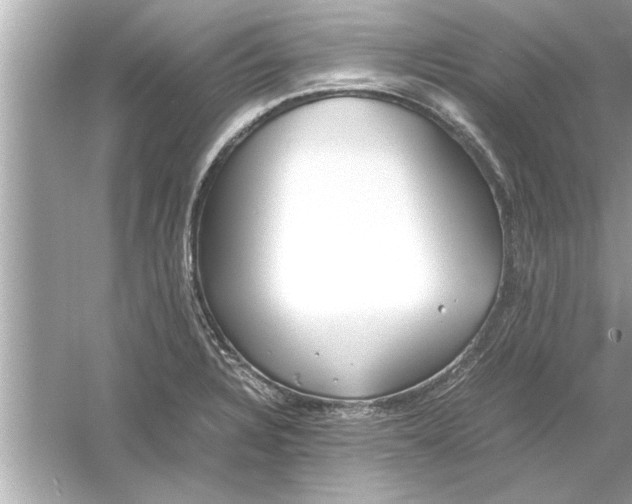 X0000053011328200508051150