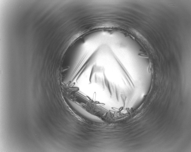 X0000053011329200508051150