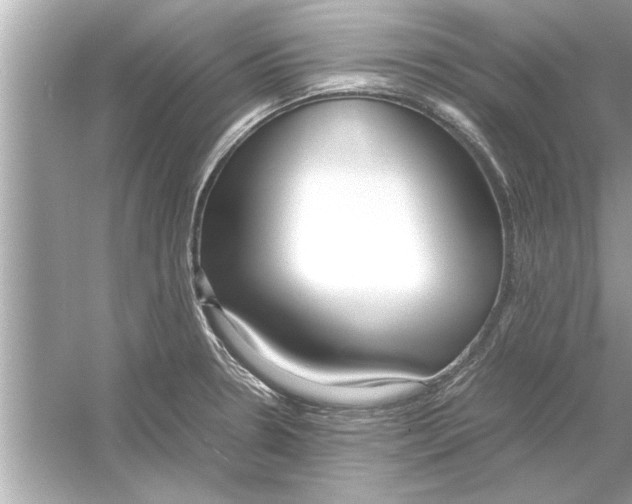 X0000053011330200508051150