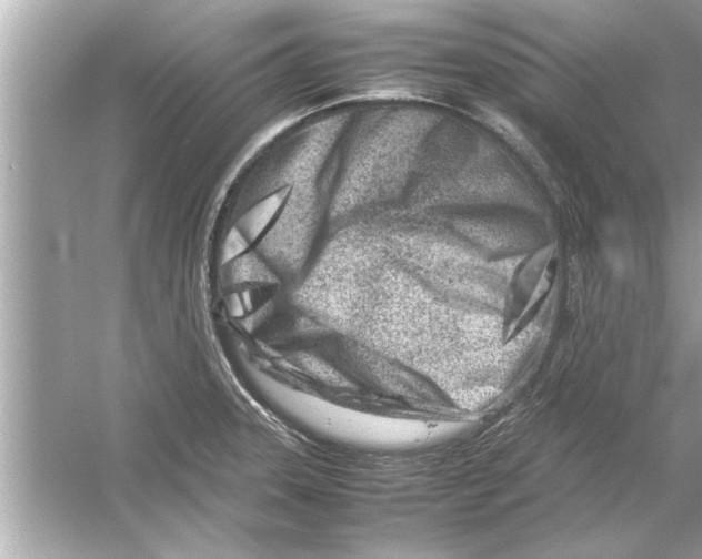 X0000053011331200508051150