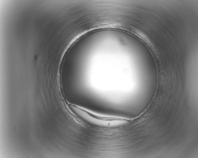 X0000053011332200508051150