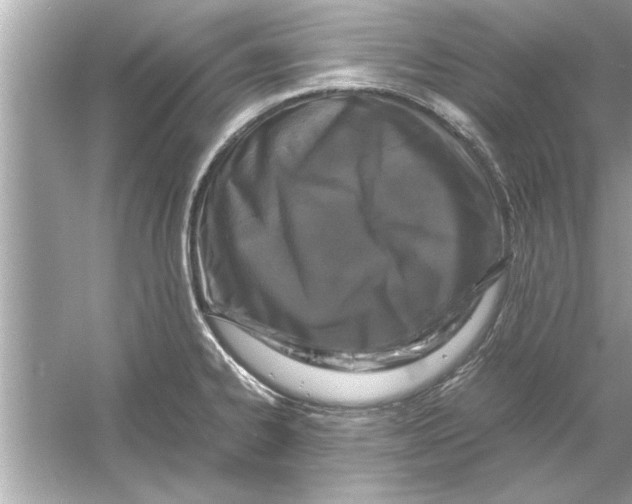 X0000053011334200508051150