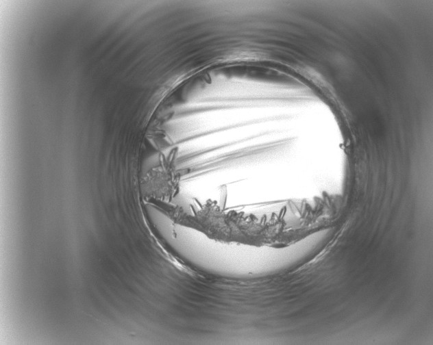 X0000053011337200508051150