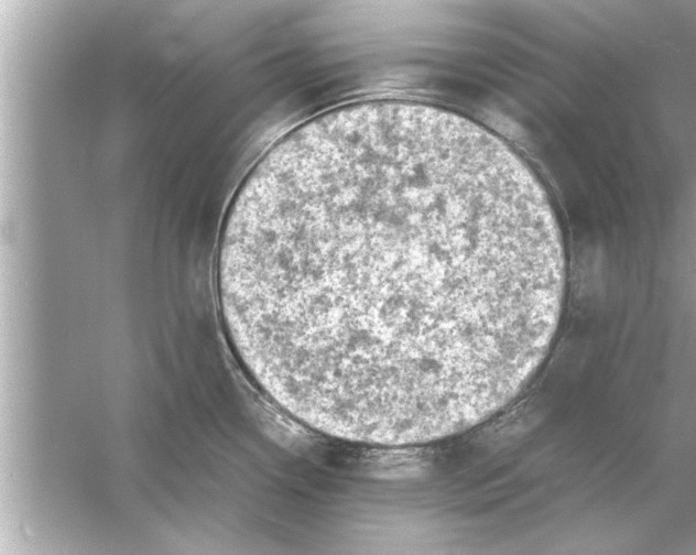 X0000053011338200508051150