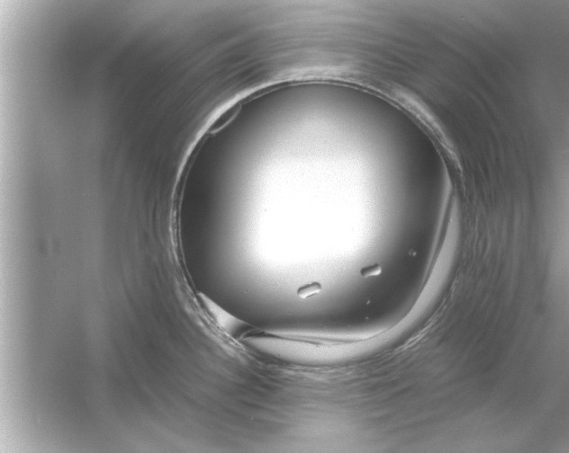 X0000053011340200508051150