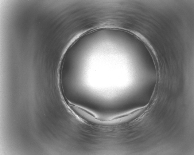 X0000053011341200508051150