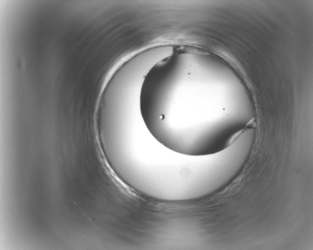 X0000053011344200508051150