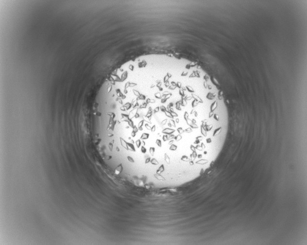 X0000053011346200508051149