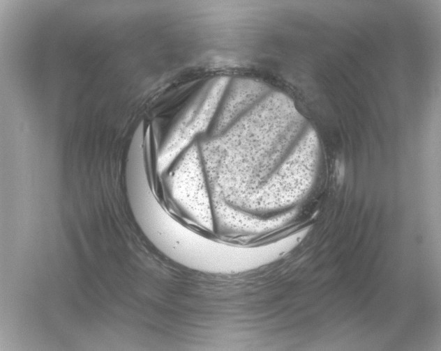 X0000053011348200508051149