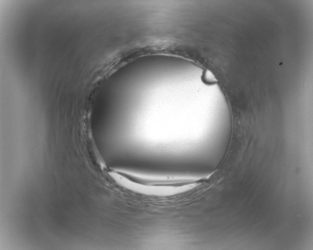 X0000053011349200508051149