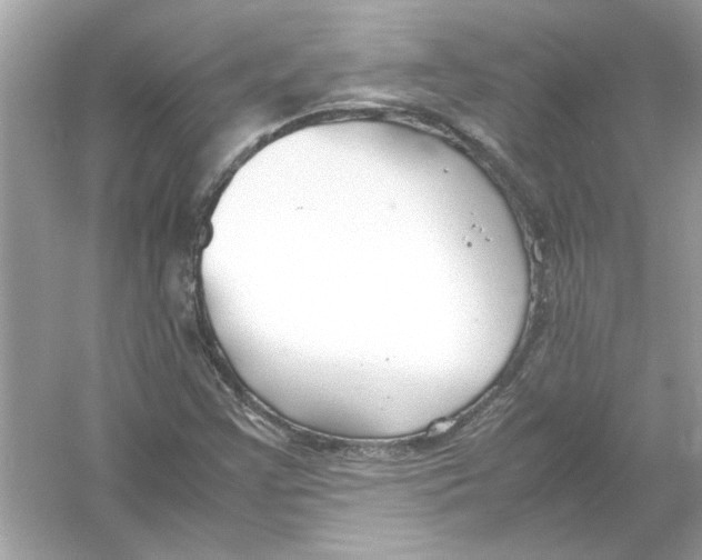 X0000053011355200508051149