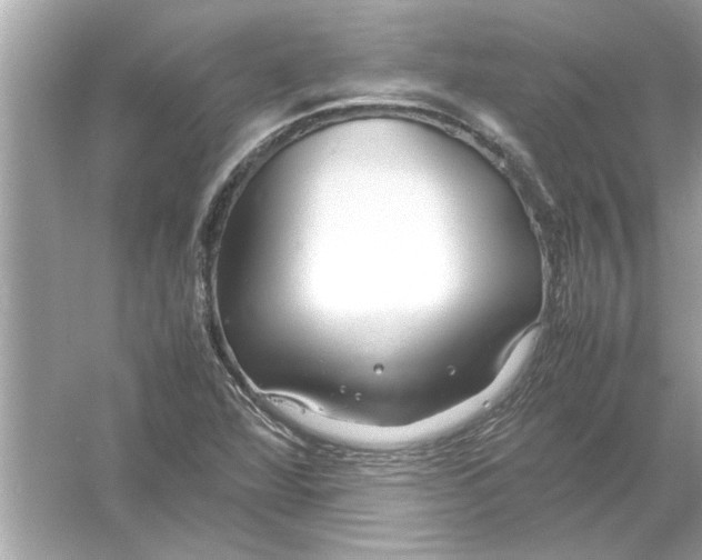 X0000053011360200508051149