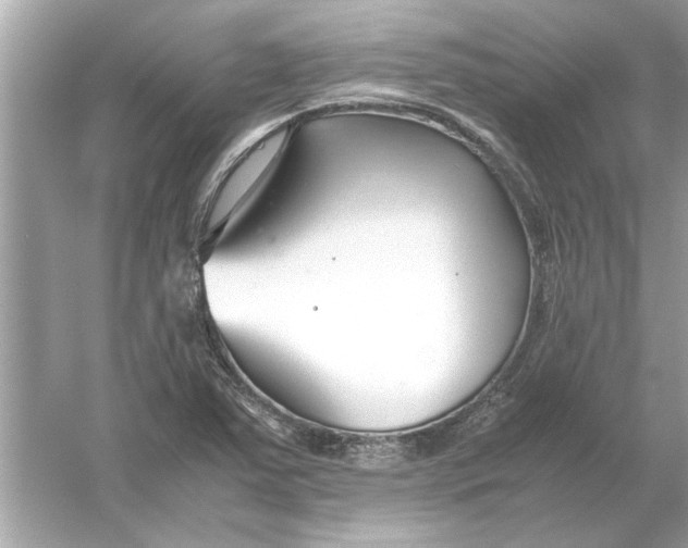 X0000053011363200508051149