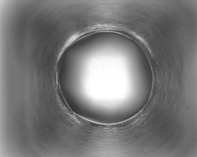 X0000053011365200508051149