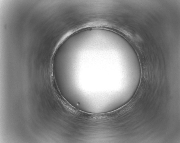 X0000053011366200508051149