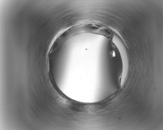 X0000053011371200508051149