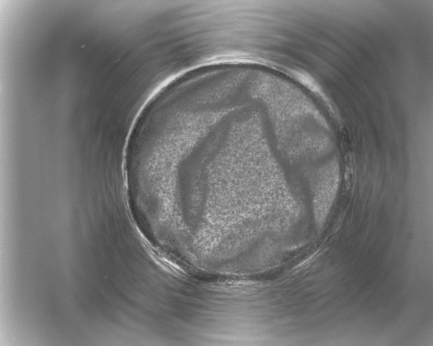 X0000053011372200508051149