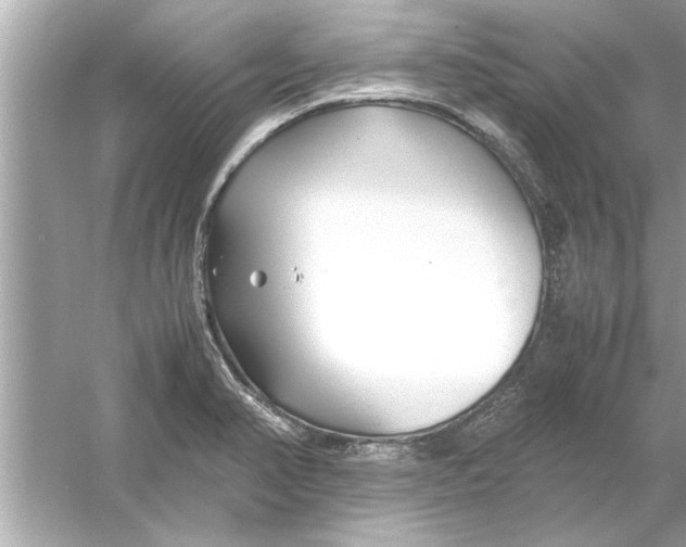 X0000053011374200508051149