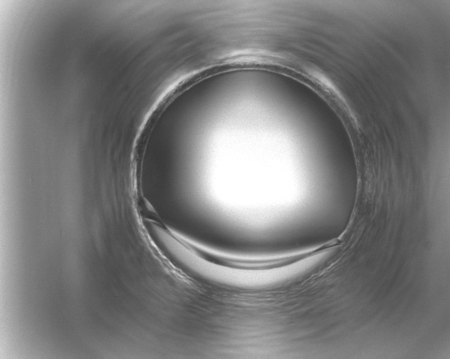 X0000053011376200508051149