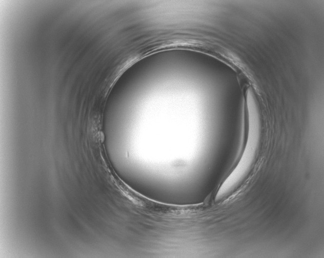 X0000053011377200508051149