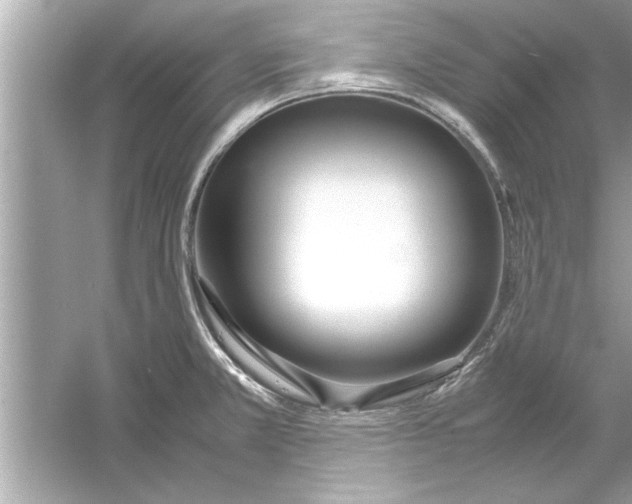 X0000053011381200508051149