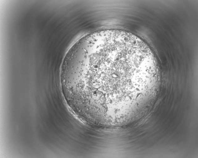 X0000053011386200508051149