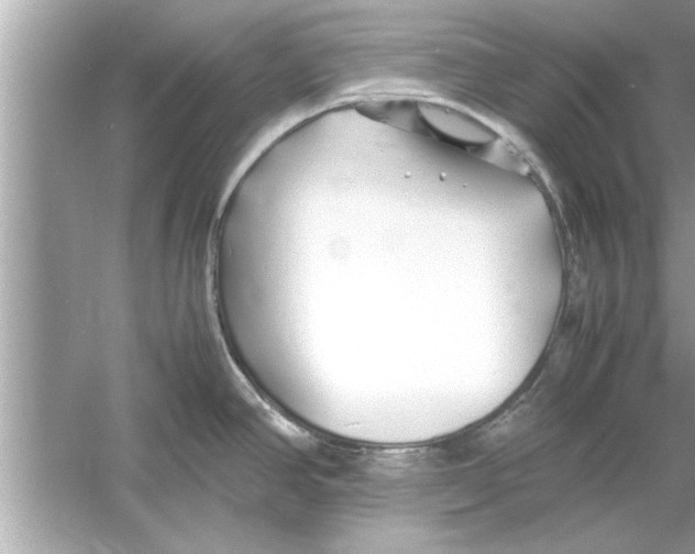 X0000053011390200508051149