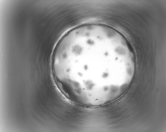 X0000053011392200508051149