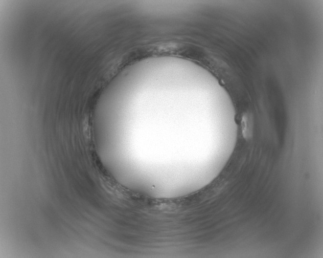 X0000053011395200508051148