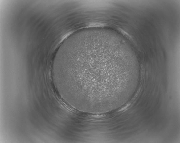 X0000053011401200508051148