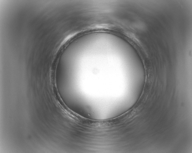 X0000053011404200508051148