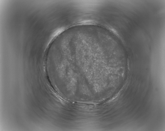 X0000053011405200508051148