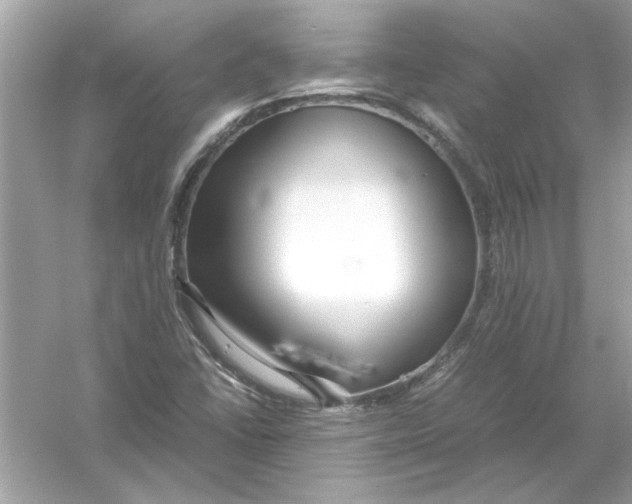 X0000053011406200508051148