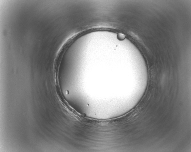 X0000053011408200508051148