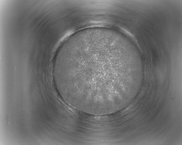 X0000053011411200508051148