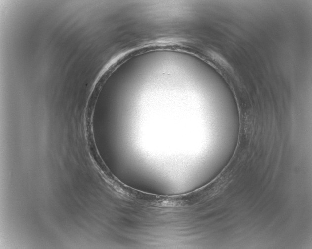 X0000053011412200508051148