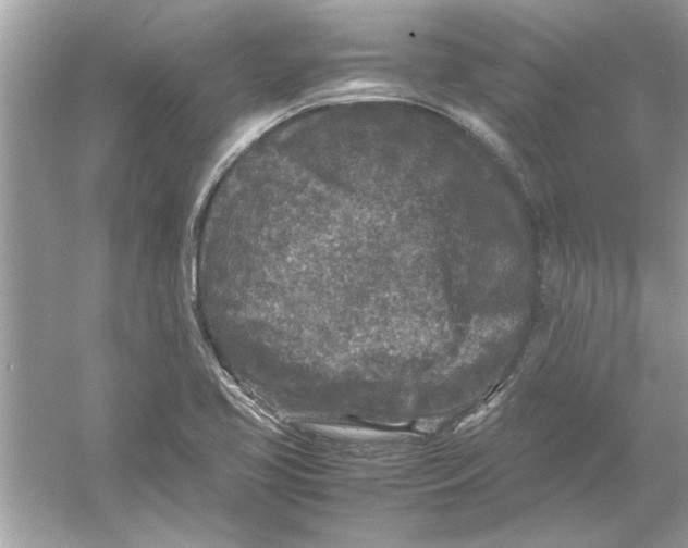 X0000053011413200508051148