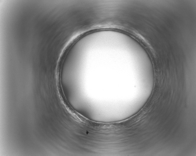 X0000053011416200508051148